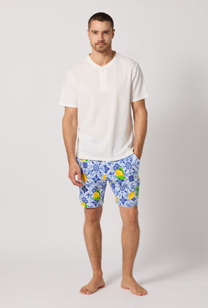 A man wearing Blue and White Men's Short Sleeve Henley Stretch Jersey Short Pj Set front view
