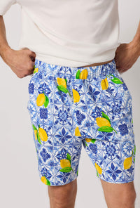 A detailed shot of A man wearing Blue and White Men's Short Sleeve Henley Stretch Jersey Short Pj Set