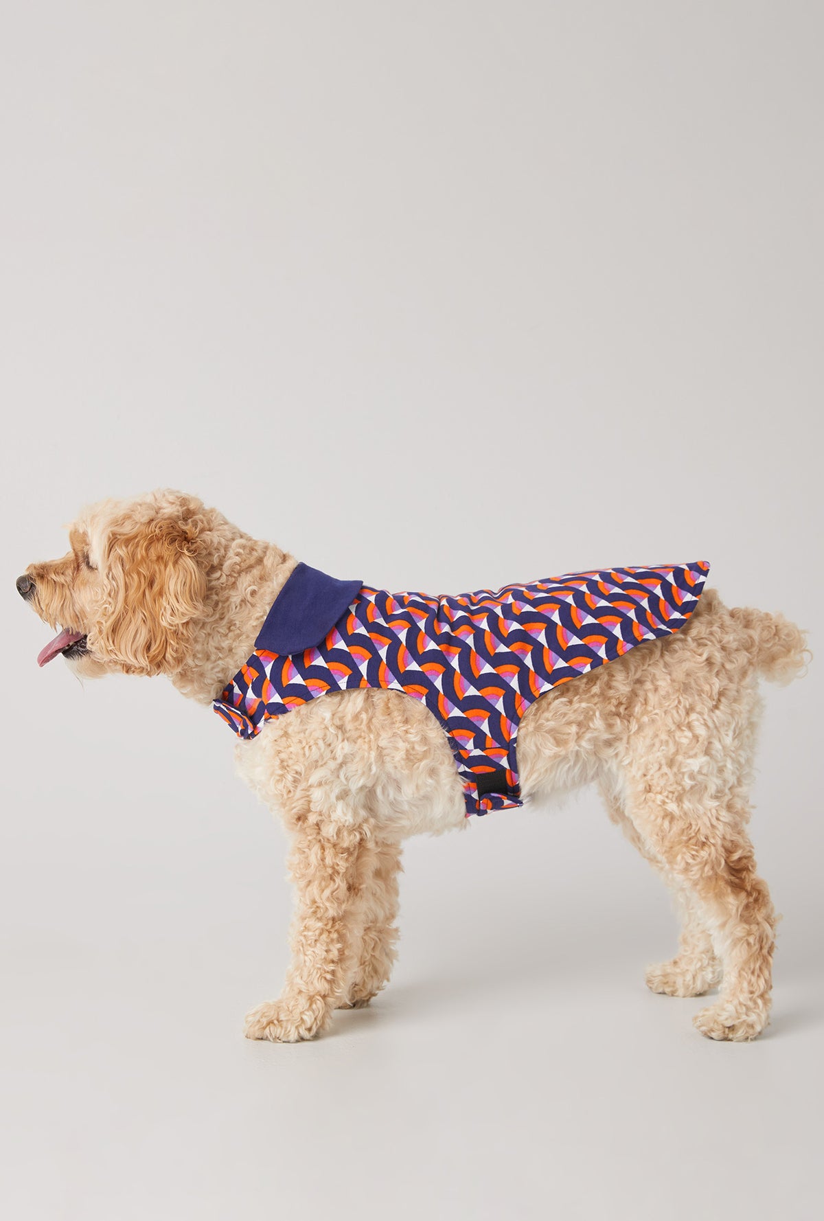 A dog wearing Geo Rainbow French Terry Lined Stretch Knit Dog Pajama