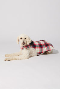A dog wearing Equestrian Plaid Cotton Jersey Lined Woven Portuguese Flannel Dog Pajama