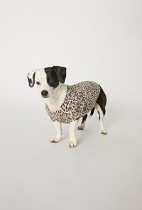A dog wearing Wild Thing Stretch Jersey Dog Pajama