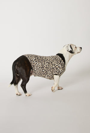 A dog wearing Wild Thing Stretch Jersey Dog Pajama