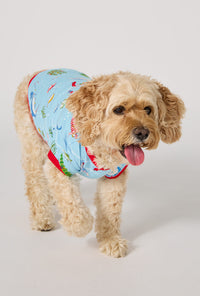 A dog wearing Jingle All The Wave Stretch Jersey Dog Pajama walking