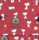 Snoopy's® Christmas