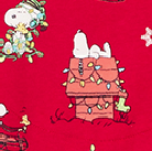 Merry Christmas Snoopy