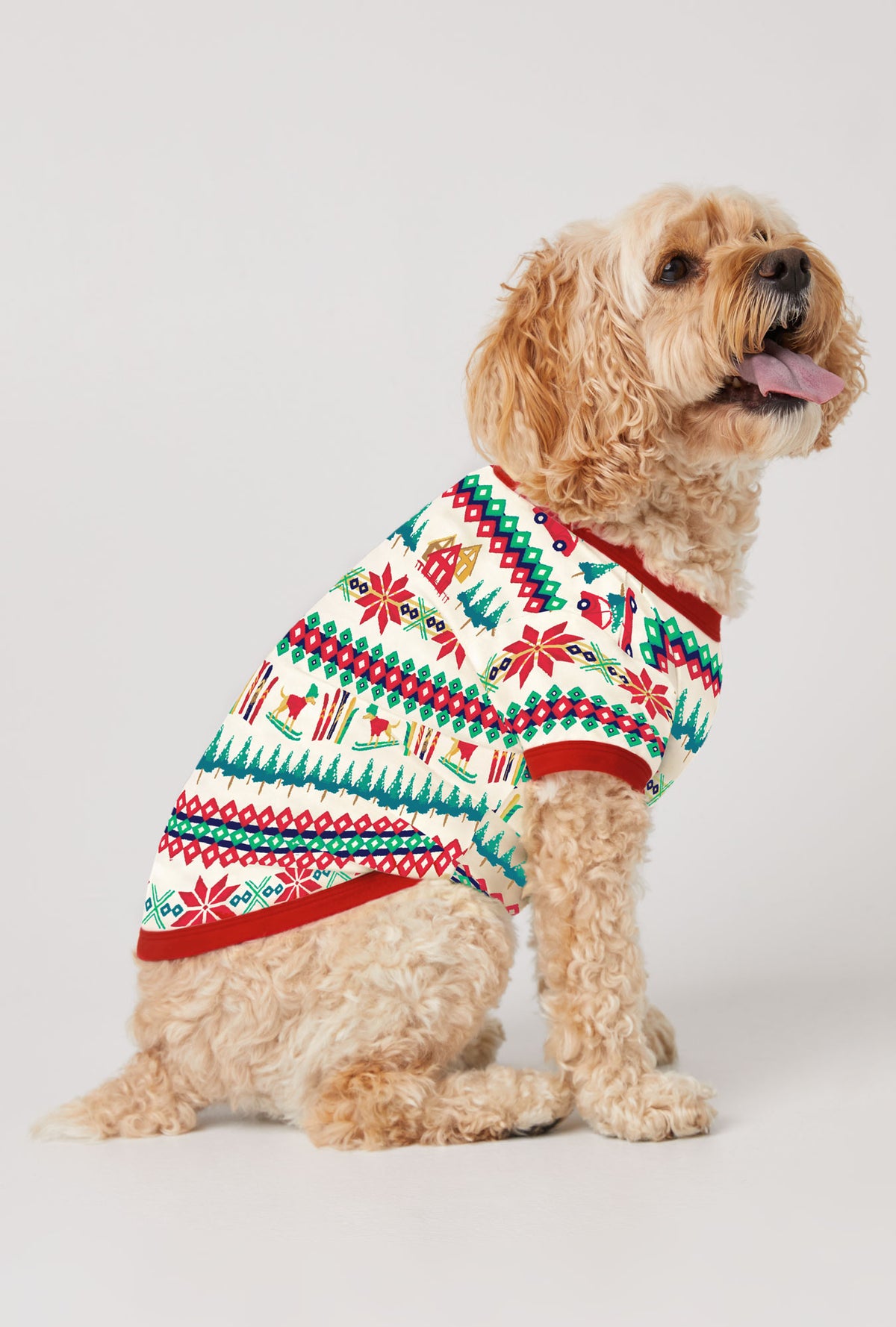 A dog wearing Festive Fairisle Stretch Jersey Pajama