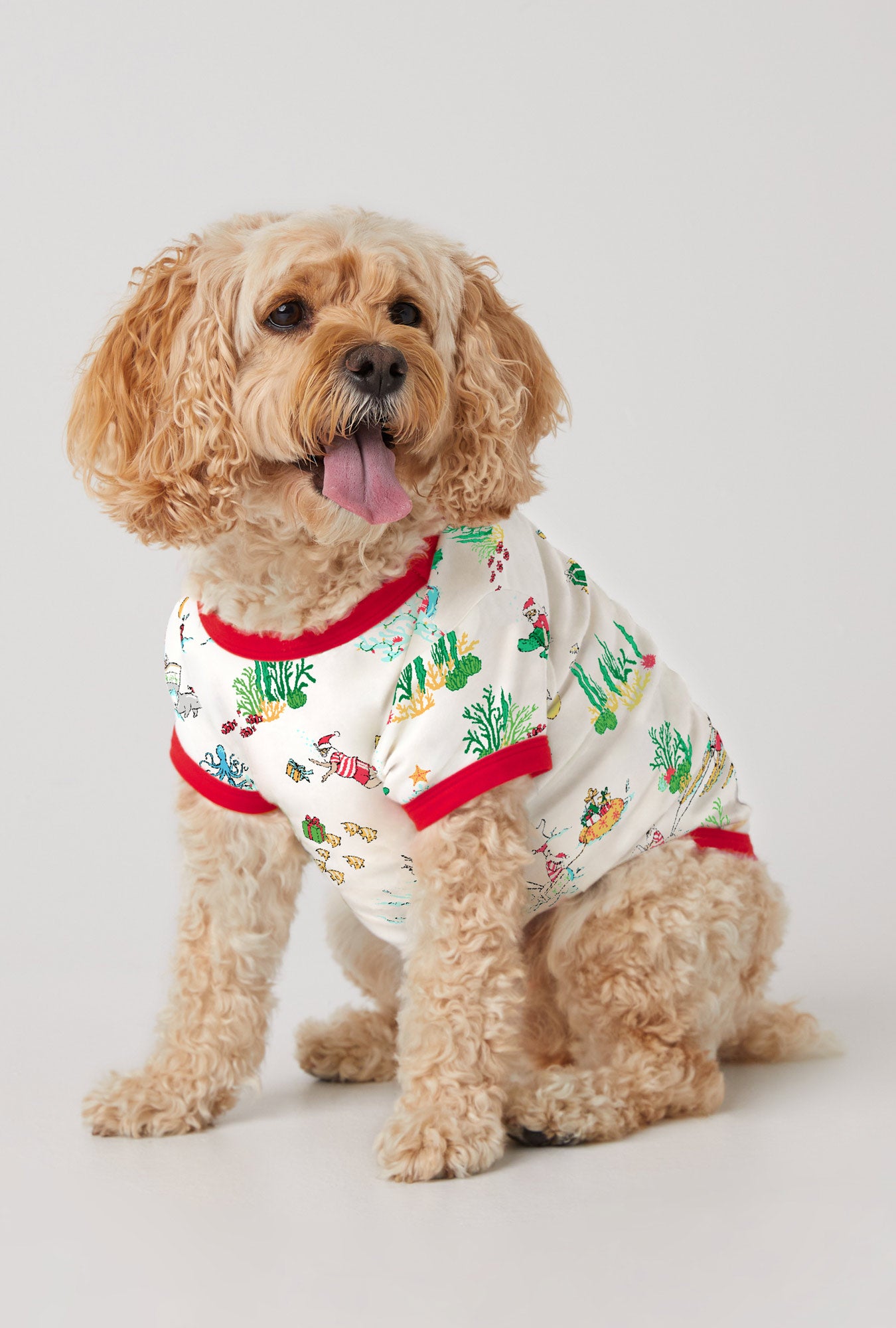 A dog wearing Tis The Sea-Son Stretch Jersey Pajama