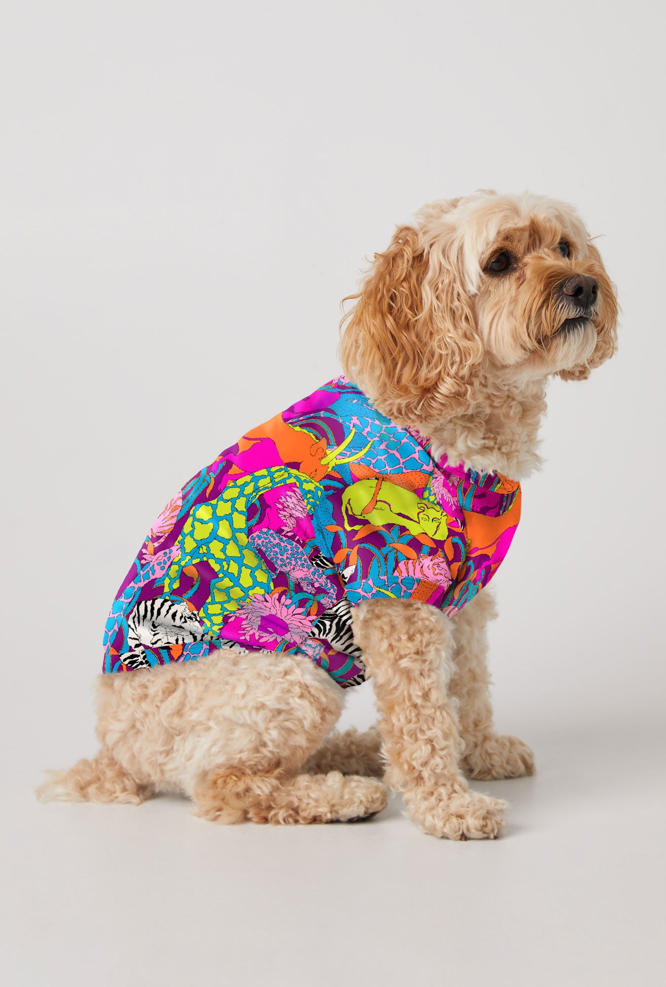 A dog wearing  Jungle Stretch Jersey Dog Pajama