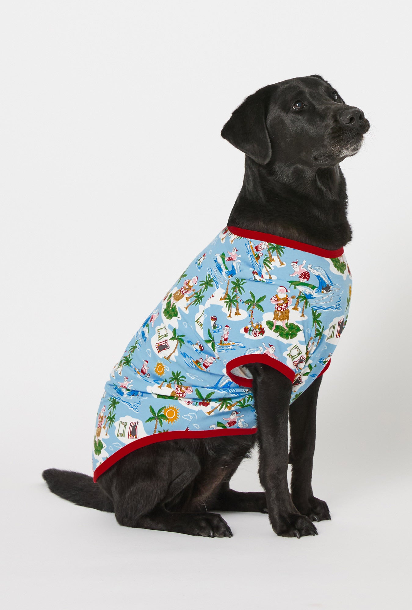A dog wearing Surfin' Santa Stretch Jersey Dog Pajama
