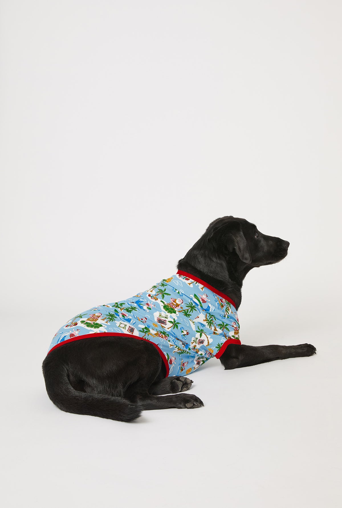 A dog wearing Surfin&#39; Santa Stretch Jersey Dog Pajama