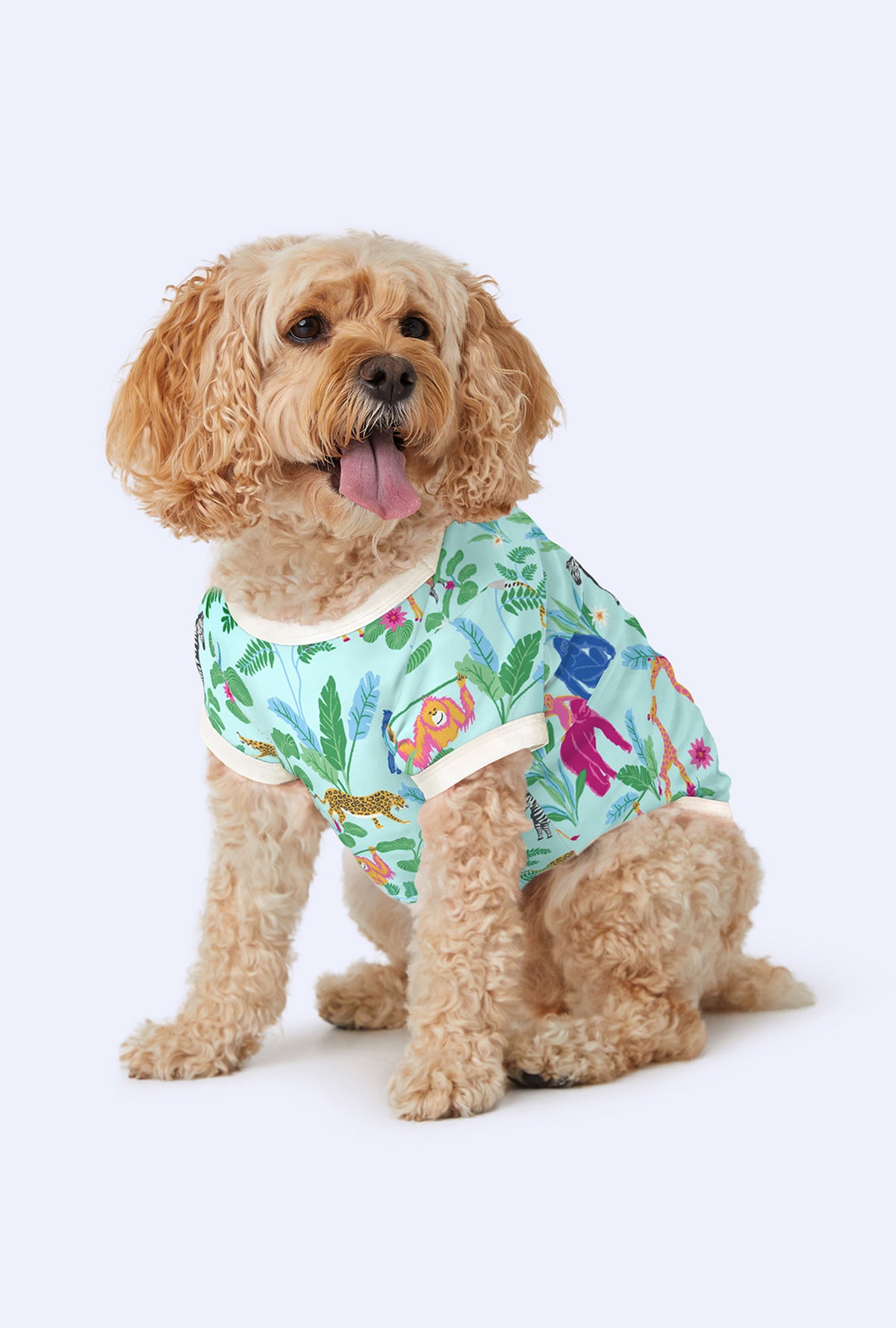 A dog wearing Stretch Jersey Pajama with Addo&#39;s Birthday Bash print