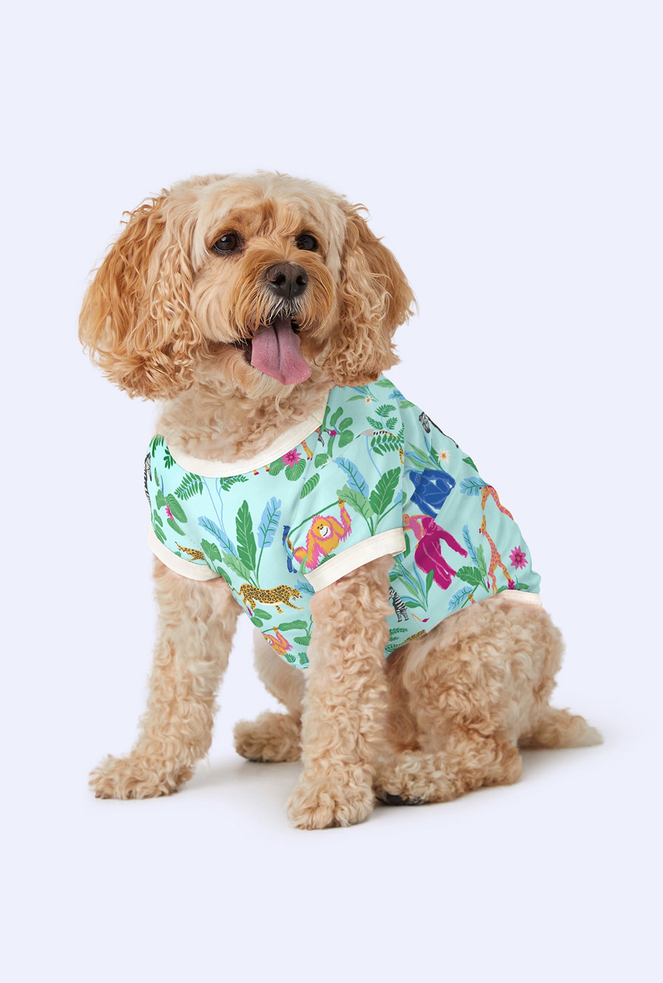 A dog wearing Stretch Jersey Pajama with Addo's Birthday Bash print