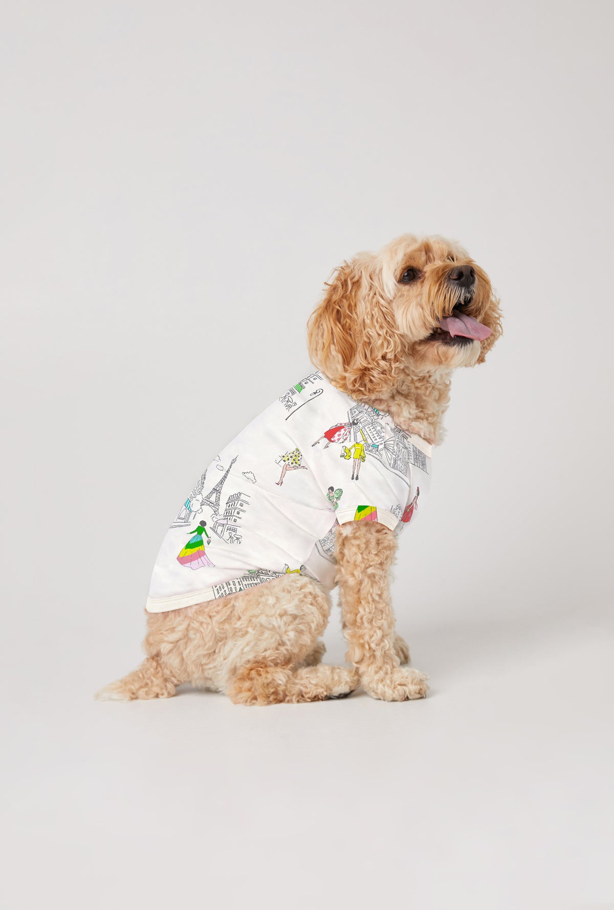 A dog wearing Newport Travel in Style Stretch Jersey Dog Pajama