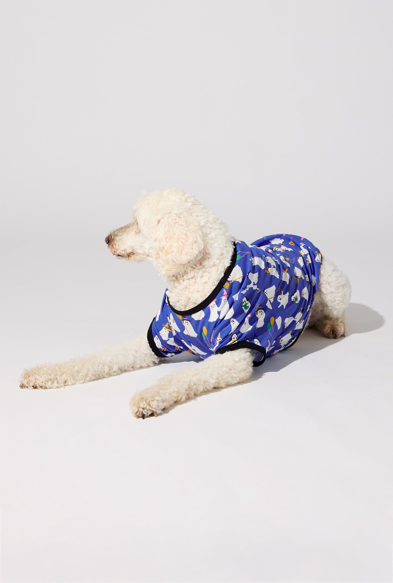 A dog wearing That’s The Spirit Stretch Jersey Dog Pajama