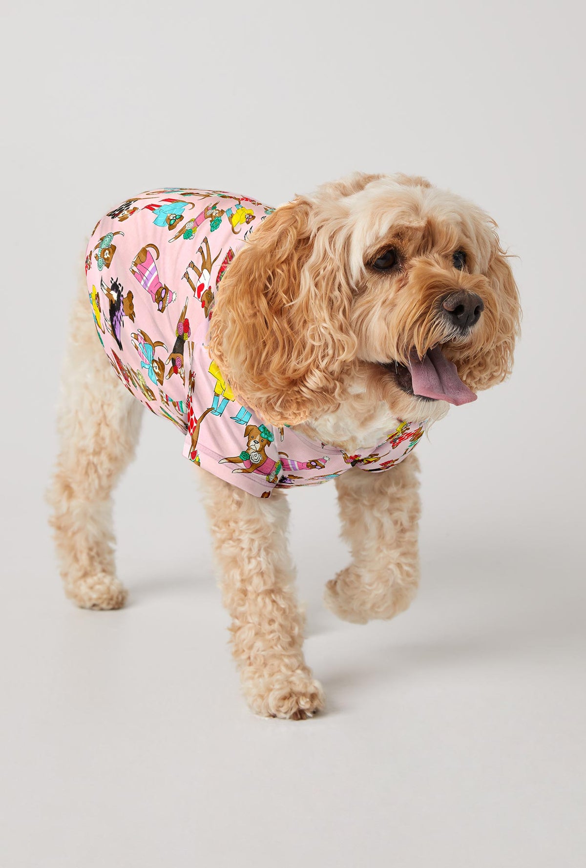 A dog wearing Newport Chic Boxers Stretch Jersey Dog Pajama