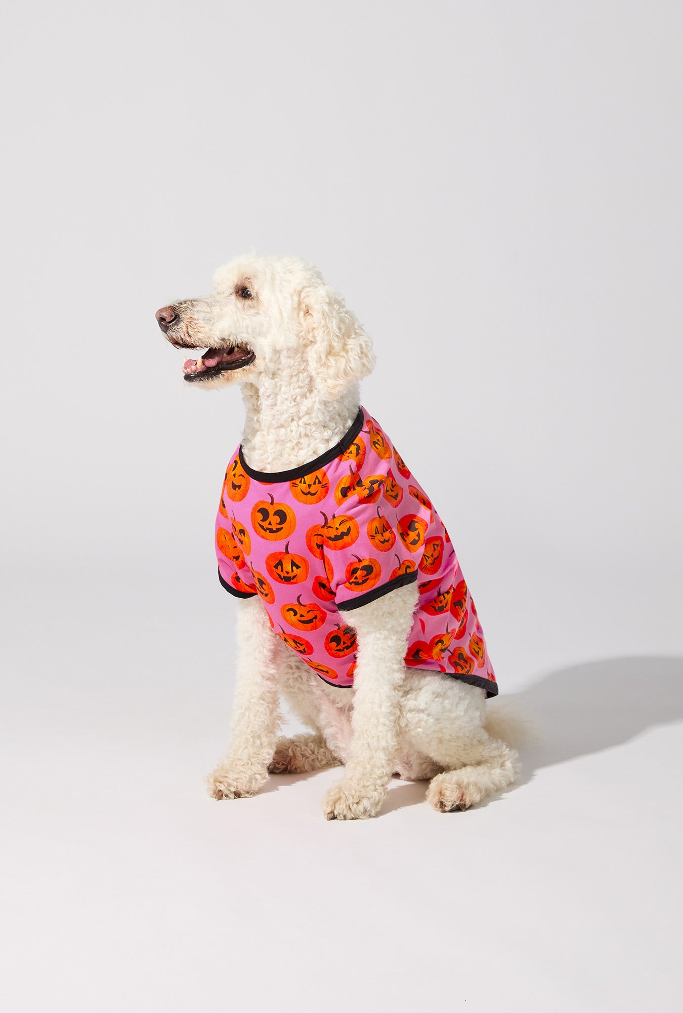 A dog wearing Jolly Jack-O-Lantern Stretch Jersey Dog Pajama