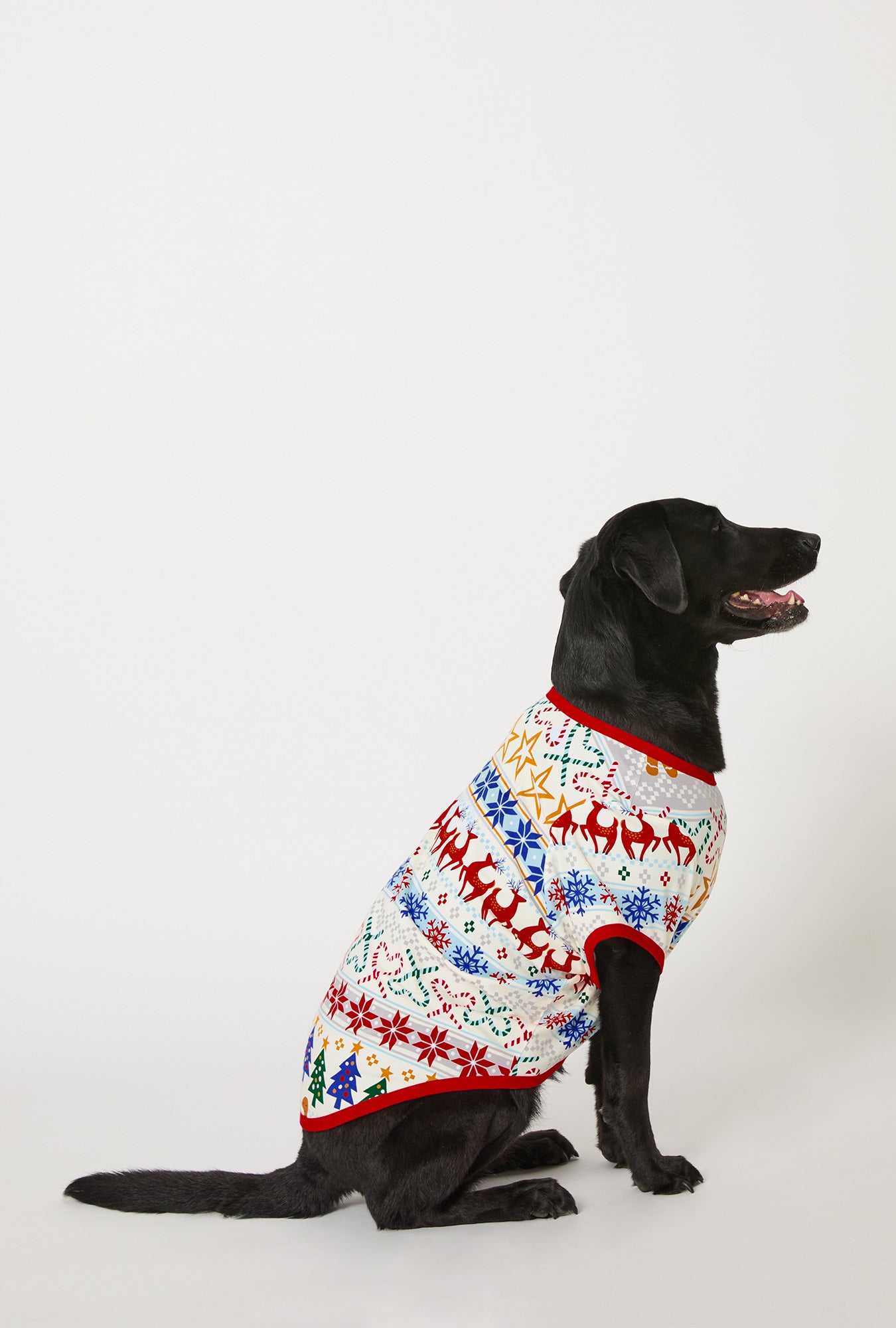 A dog wearing Deck The Halls Stretch Jersey Dog Pajama