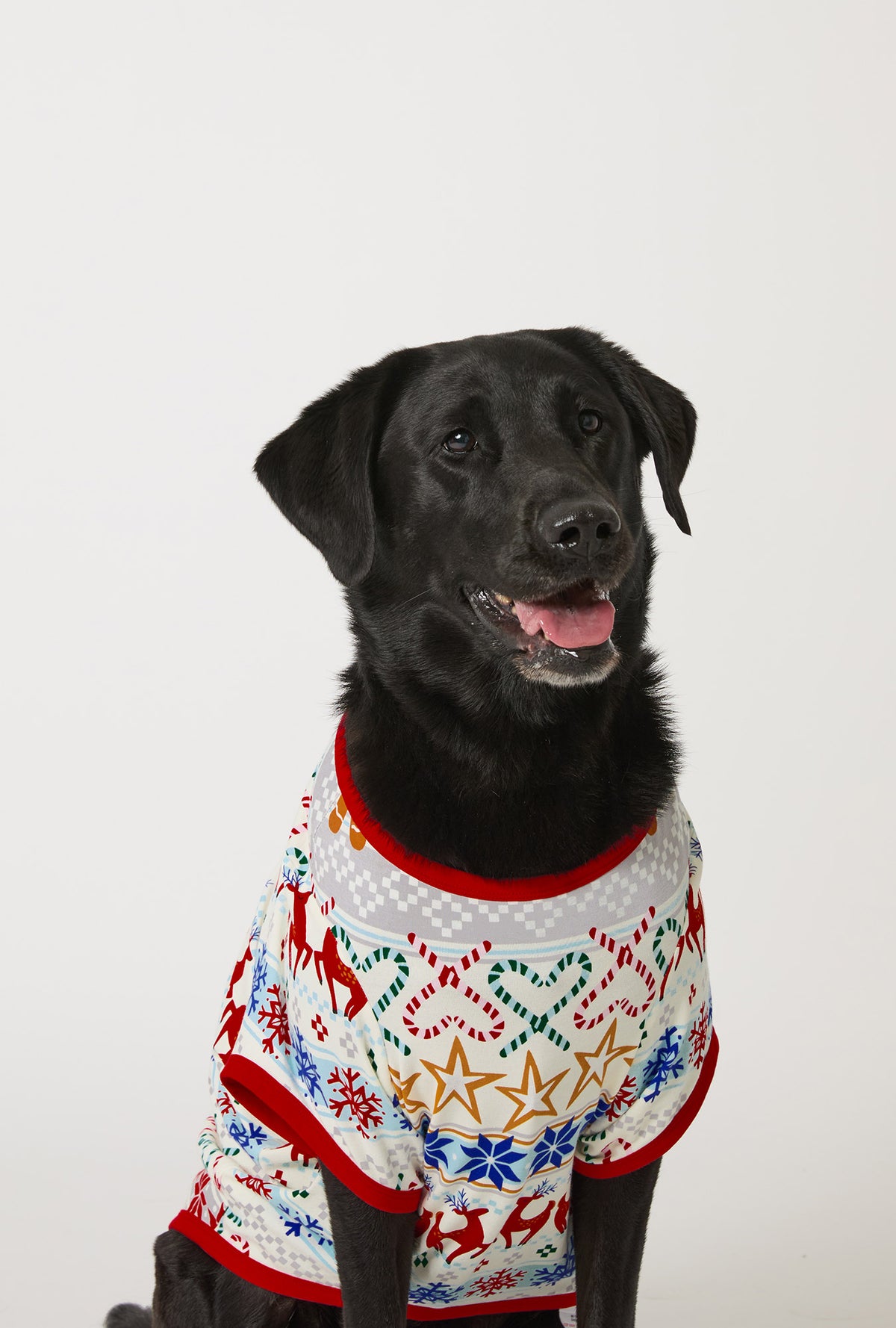 A dog wearing Deck The Halls Stretch Jersey Dog Pajama