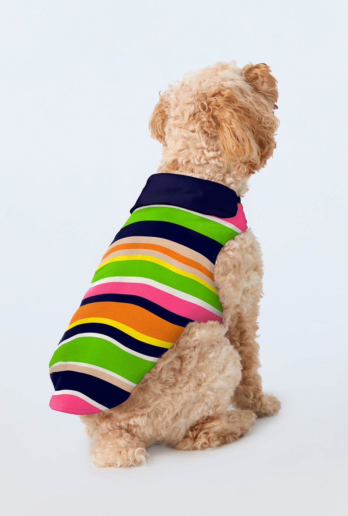 A dog wearing BedHead x Trina Turk Poolside Stripe Cotton Jersey Lined Woven Cotton Poplin Dog Pajama