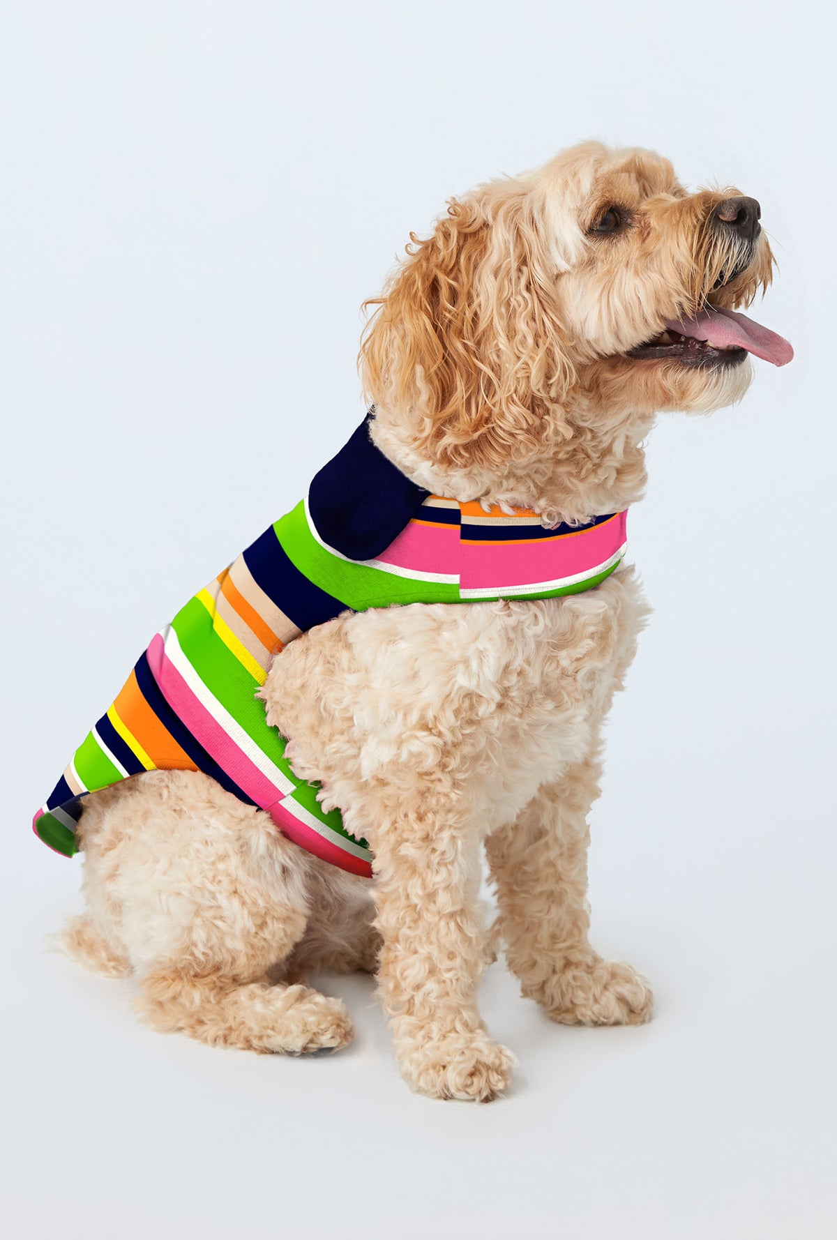 A dog wearing BedHead x Trina Turk Poolside Stripe Cotton Jersey Lined Woven Cotton Poplin Dog Pajama