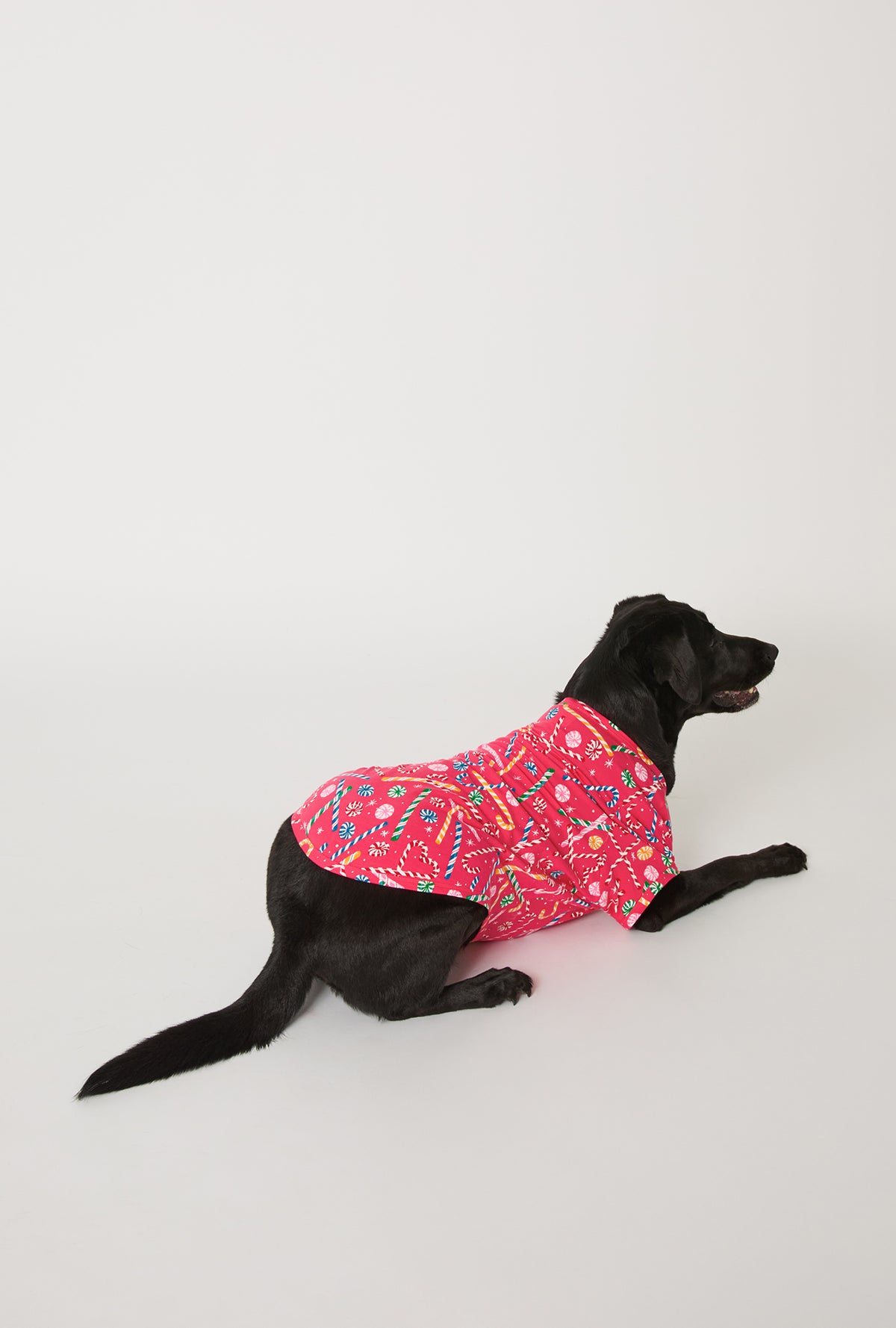 A dog wearing Peppermint Twist Stretch Jersey Dog Pajama