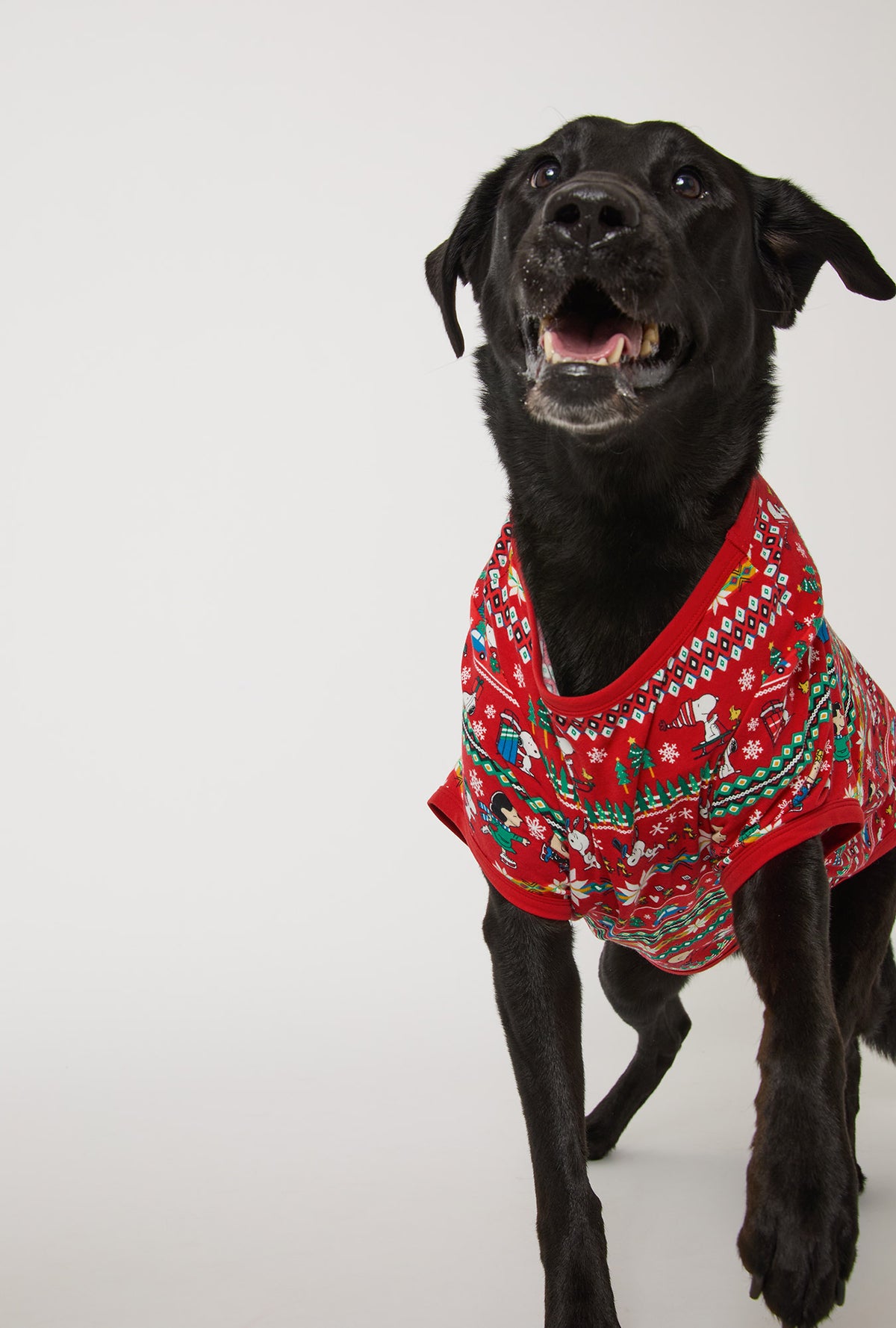 A dog wearing Peanuts® Winter Fairisle Stretch Jersey Dog Pajama