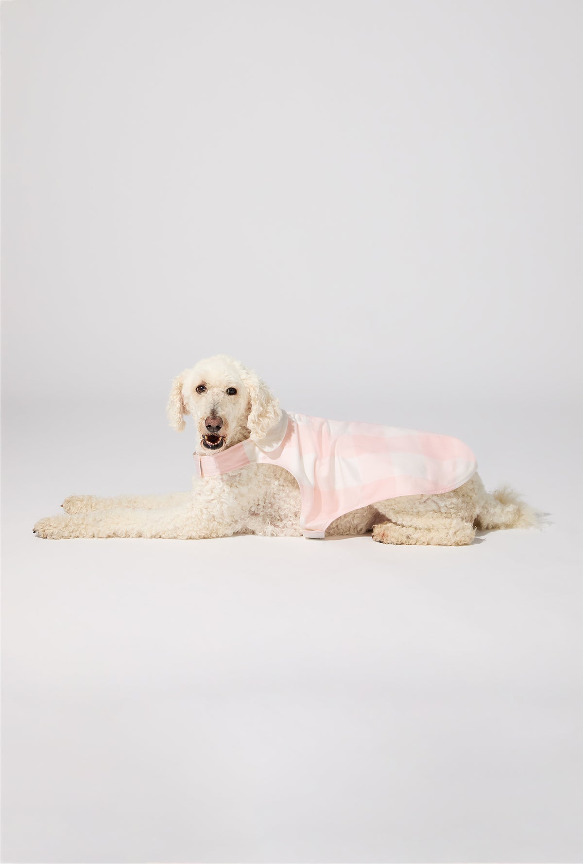 A dog wearing Checking In Cotton Jersey Lined Woven Portuguese Flannel Dog Pajama
