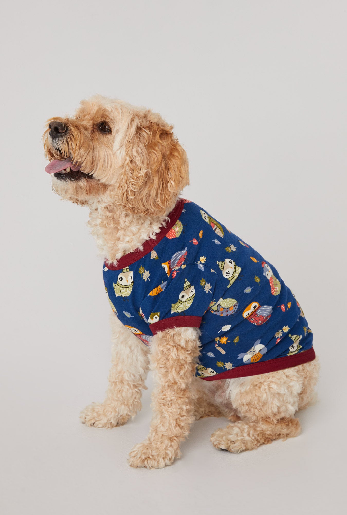 A dog wearing Autumn Owls Stretch Jersey Dog Pajama
