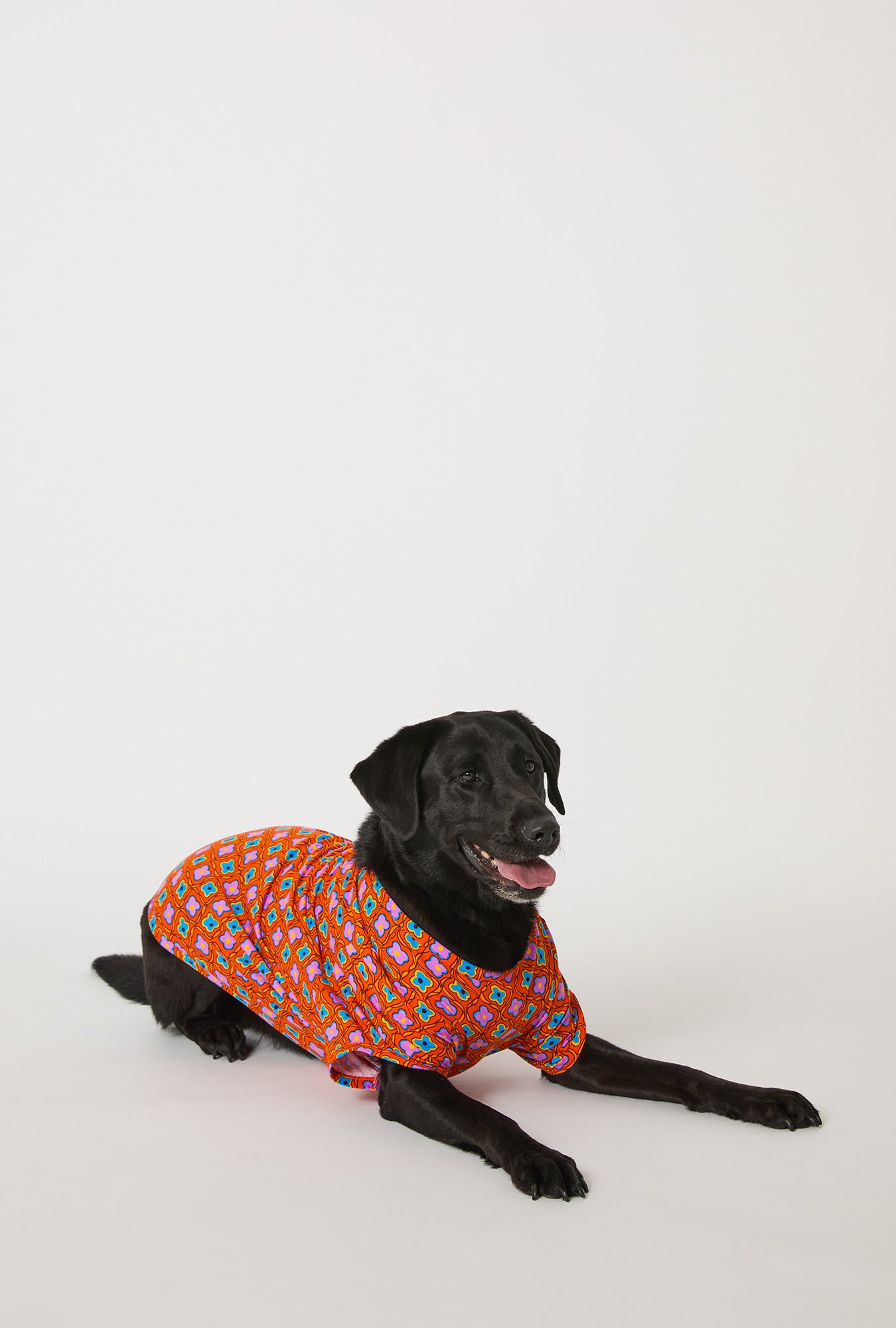 A dog wearing BedHead x Trina Turk Daisy Foulard Stretch Jersey Dog Pajama