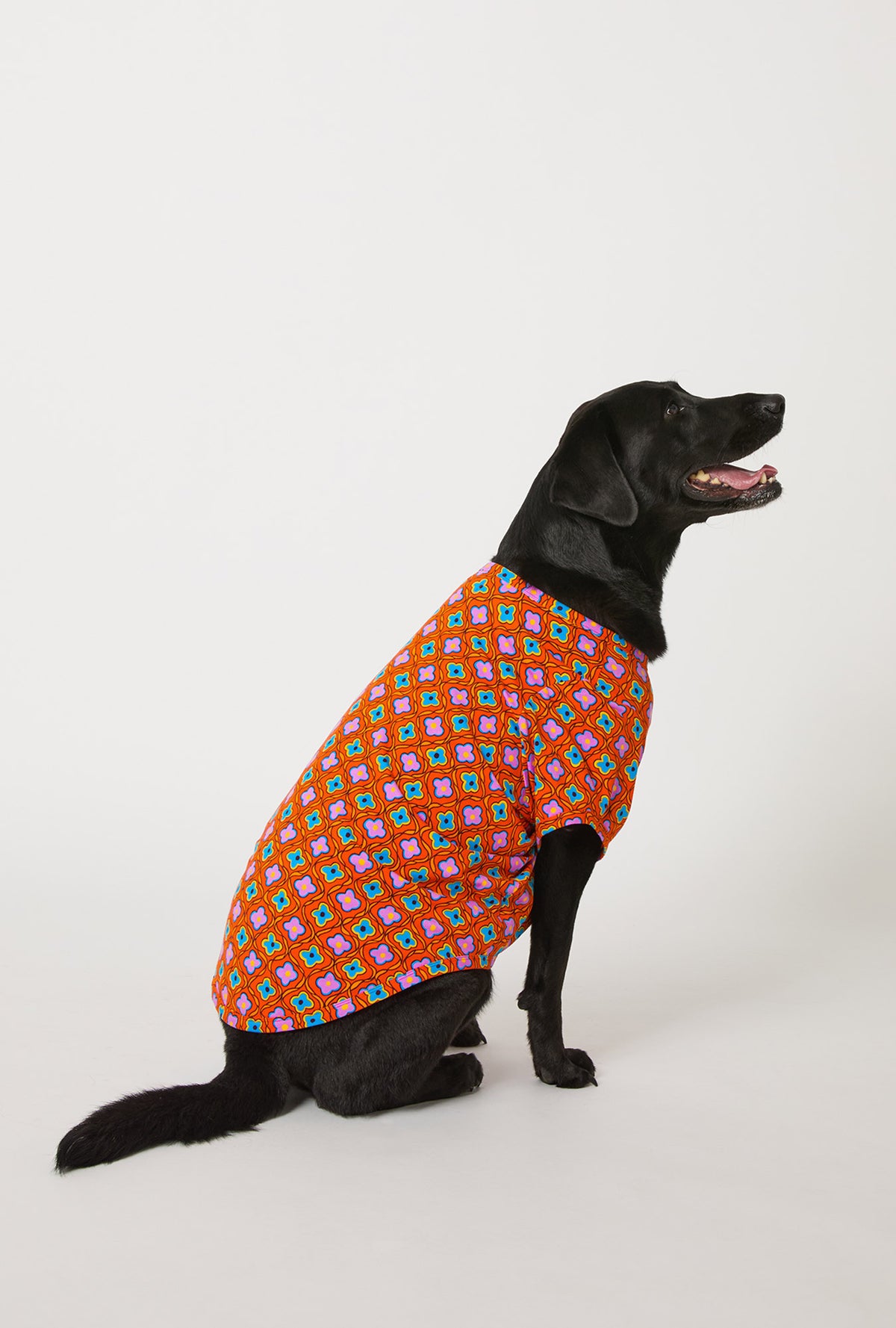 A dog wearing BedHead x Trina Turk Daisy Foulard Stretch Jersey Dog Pajama