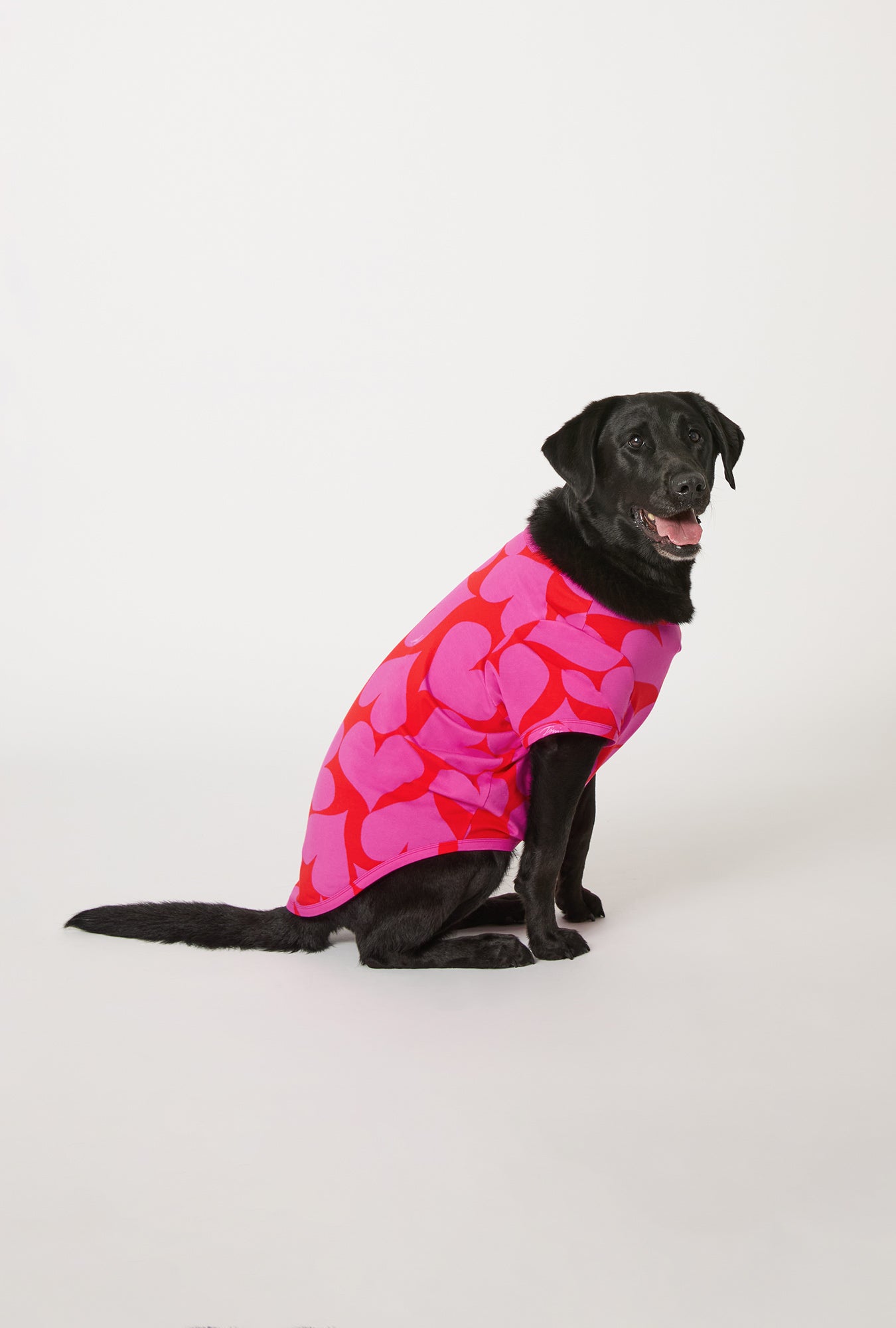 A dog wearing BedHead x Trina Turk Hearts Stretch Jersey Dog Pajama