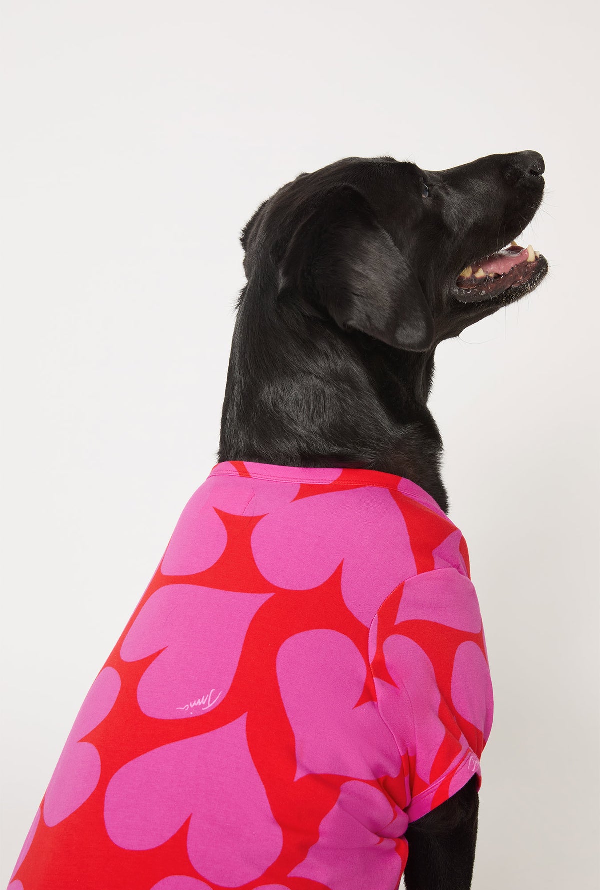 A dog wearing BedHead x Trina Turk Hearts Stretch Jersey Dog Pajama