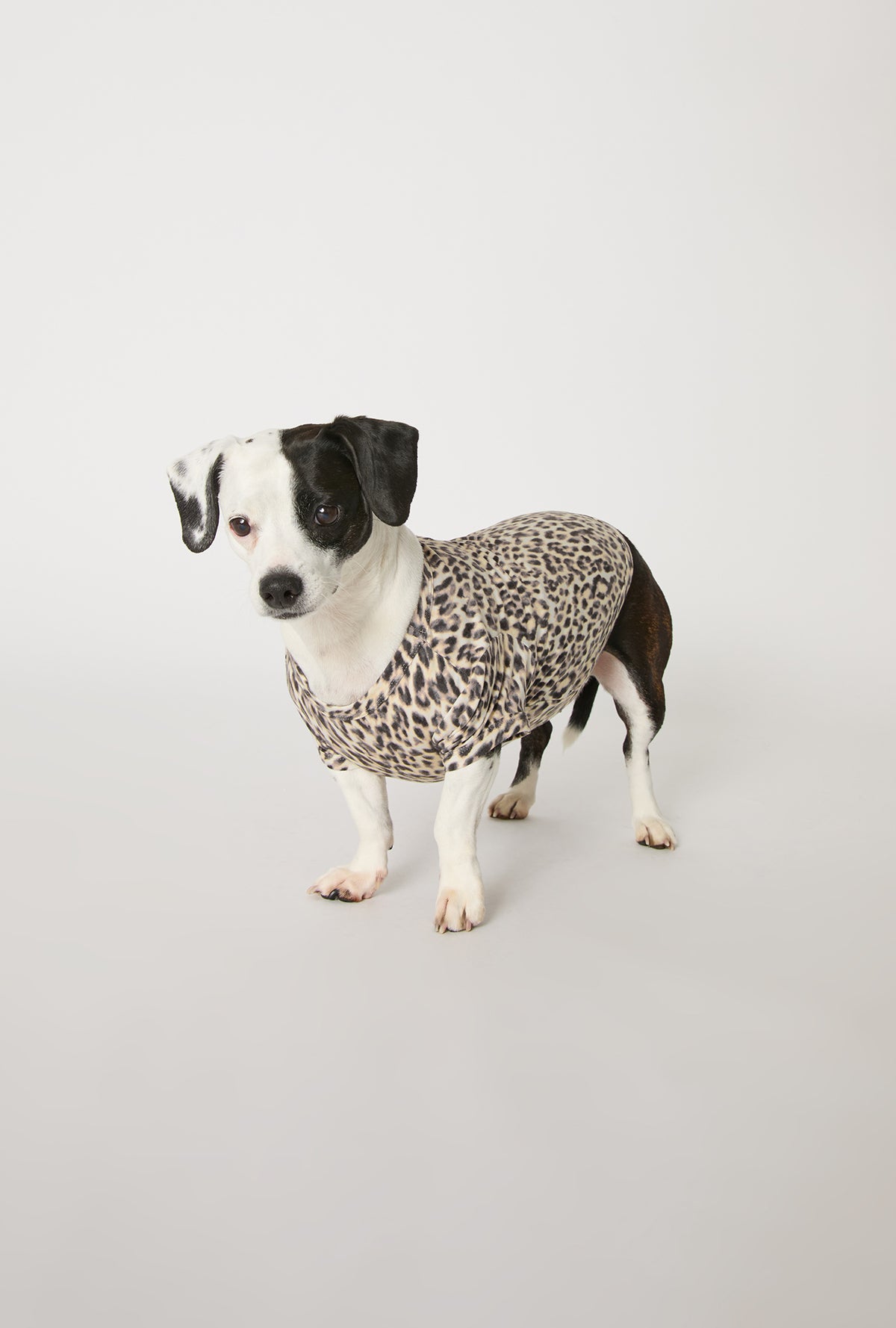 A dog wearing Wild Thing Stretch Jersey Dog Pajama