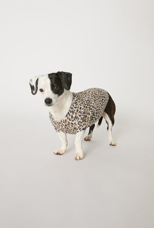 A dog wearing Wild Thing Stretch Jersey Dog Pajama