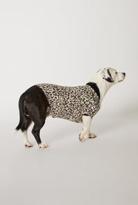 A dog wearing Wild Thing Stretch Jersey Dog Pajama
