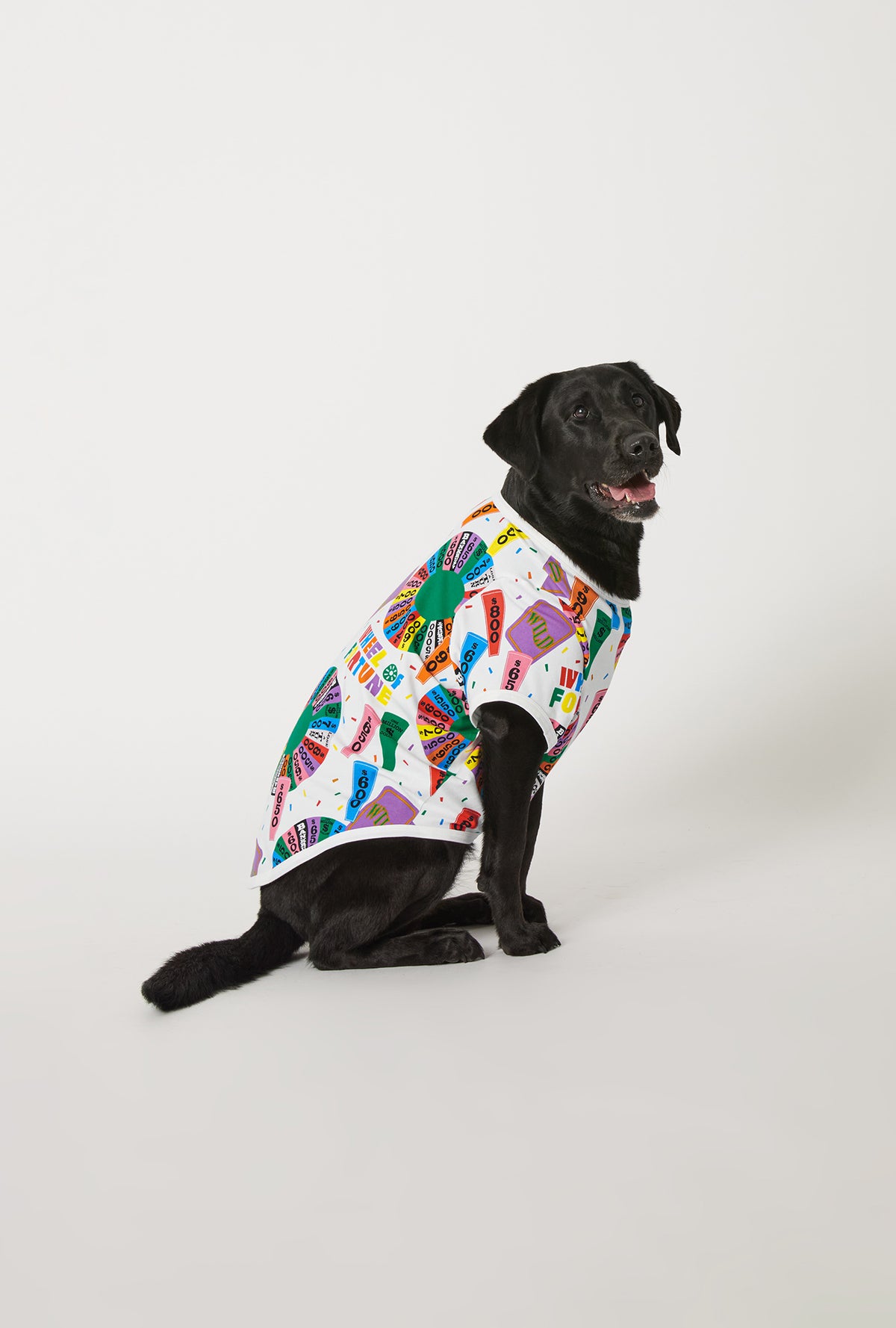 A dog wearing Wheel Of Fortune Stretch Jersey Dog Pajama