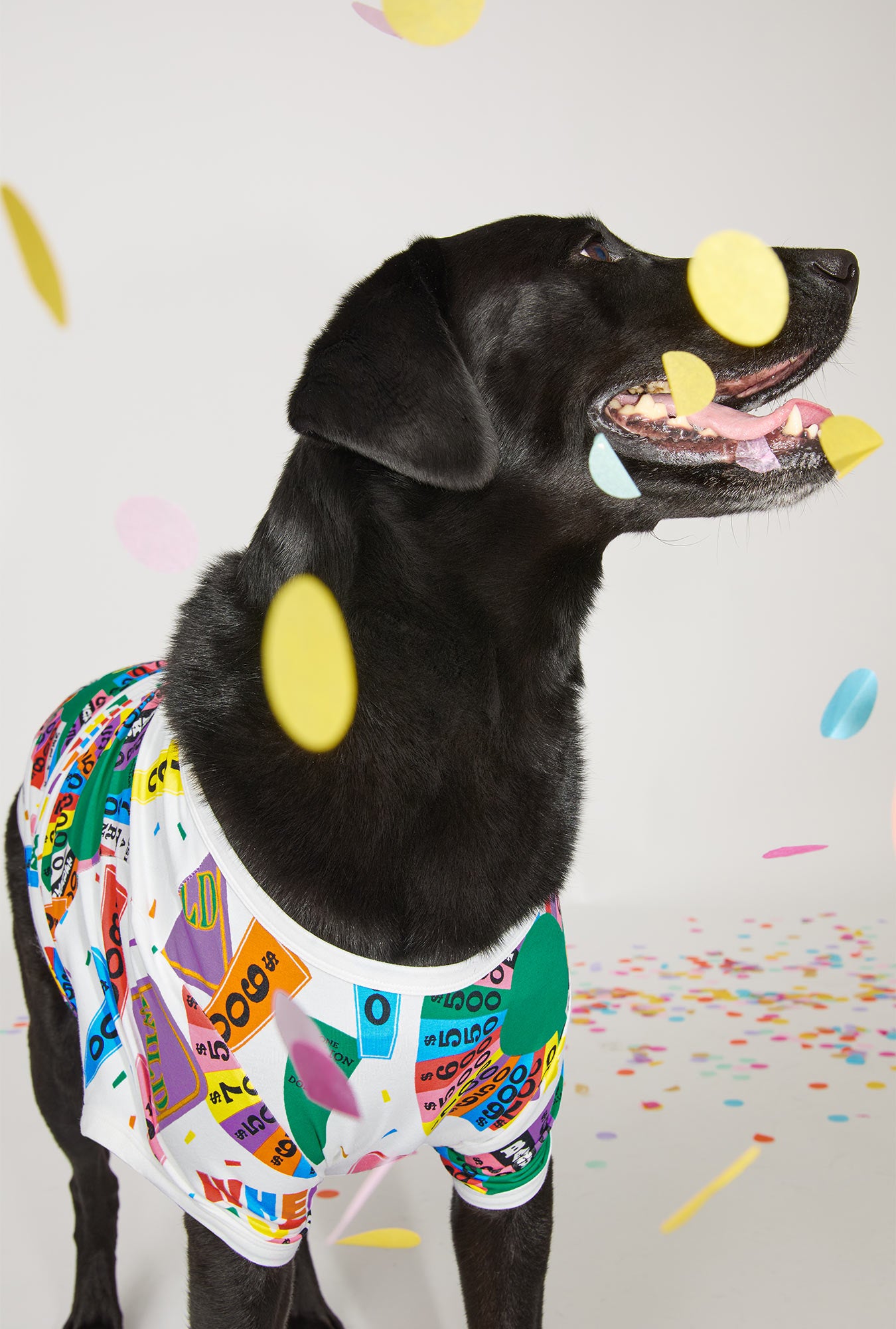 A dog wearing Wheel Of Fortune Stretch Jersey Dog Pajama