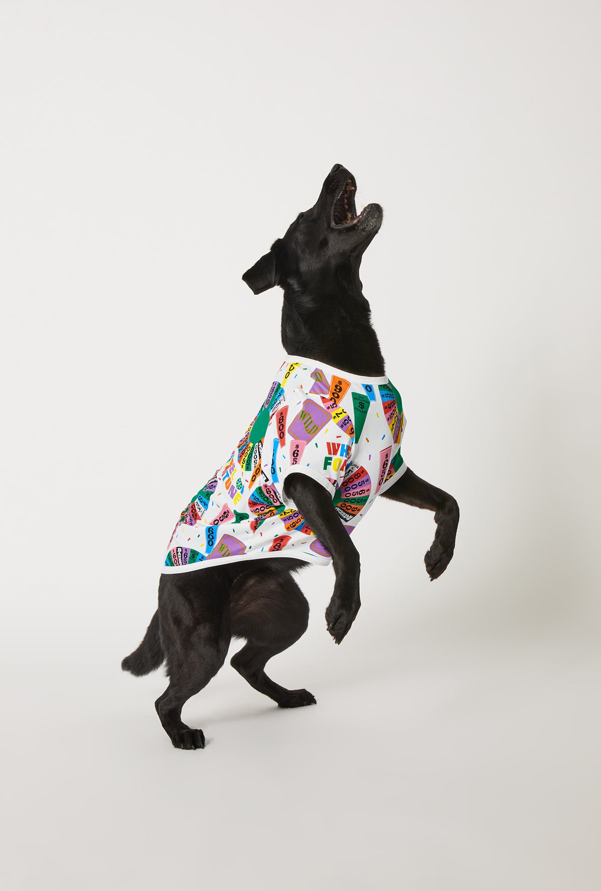 A dog wearing Wheel Of Fortune Stretch Jersey Dog Pajama