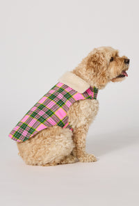 BedHead x Trina Turk Palm Springs Tartan Woven Portuguese Flannel Dog Pajama