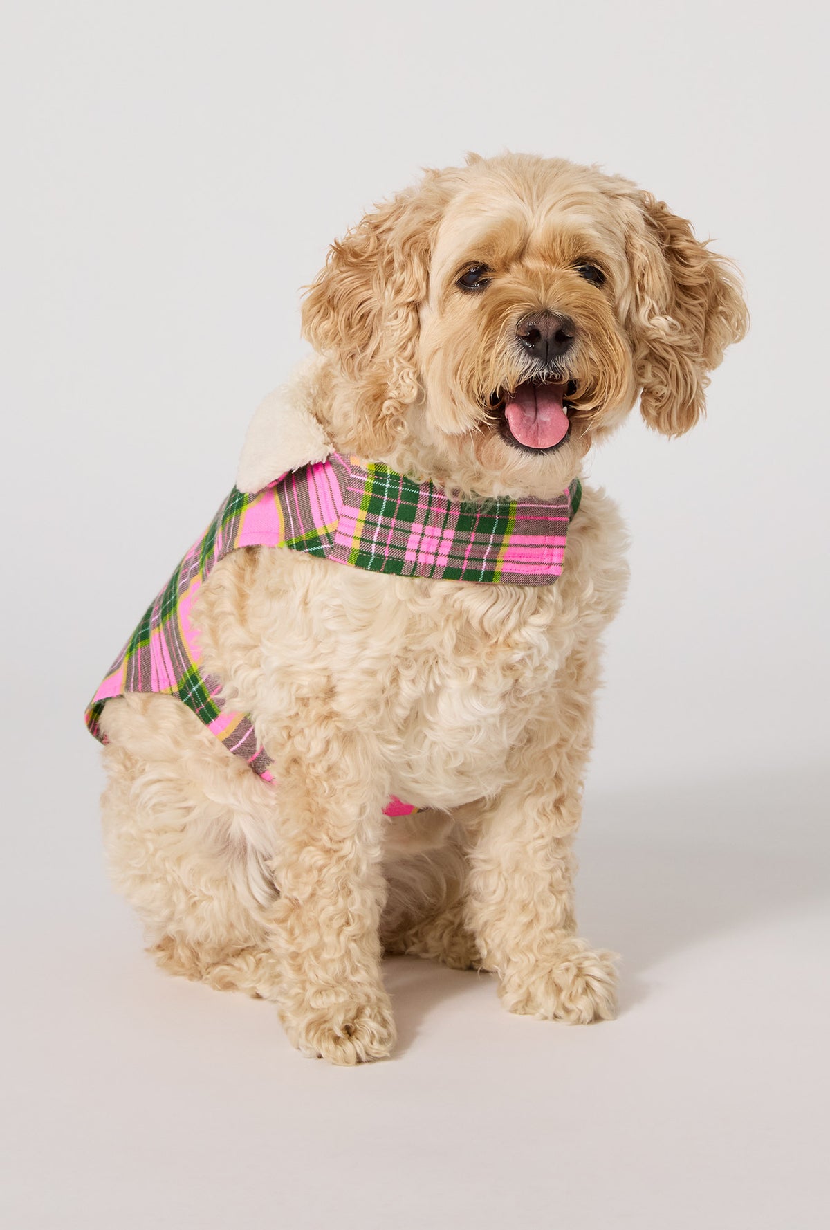 BedHead x Trina Turk Palm Springs Tartan Woven Portuguese Flannel Dog Pajama