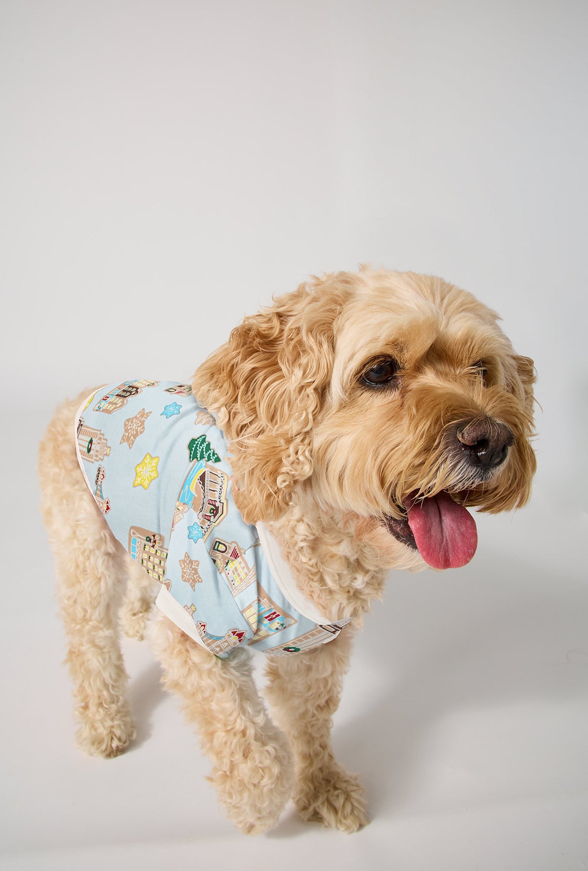 A Dog wearing Gingerbread City Stretch Jersey Dog Pajama walking