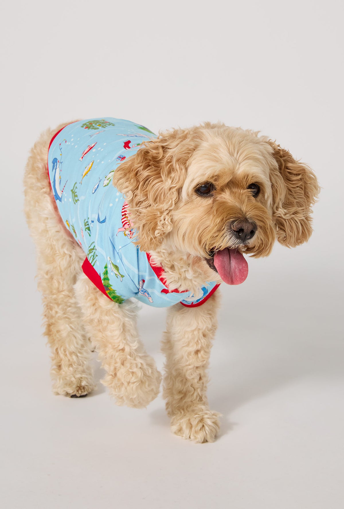 A dog wearing Jingle All The Wave Stretch Jersey Dog Pajama walking