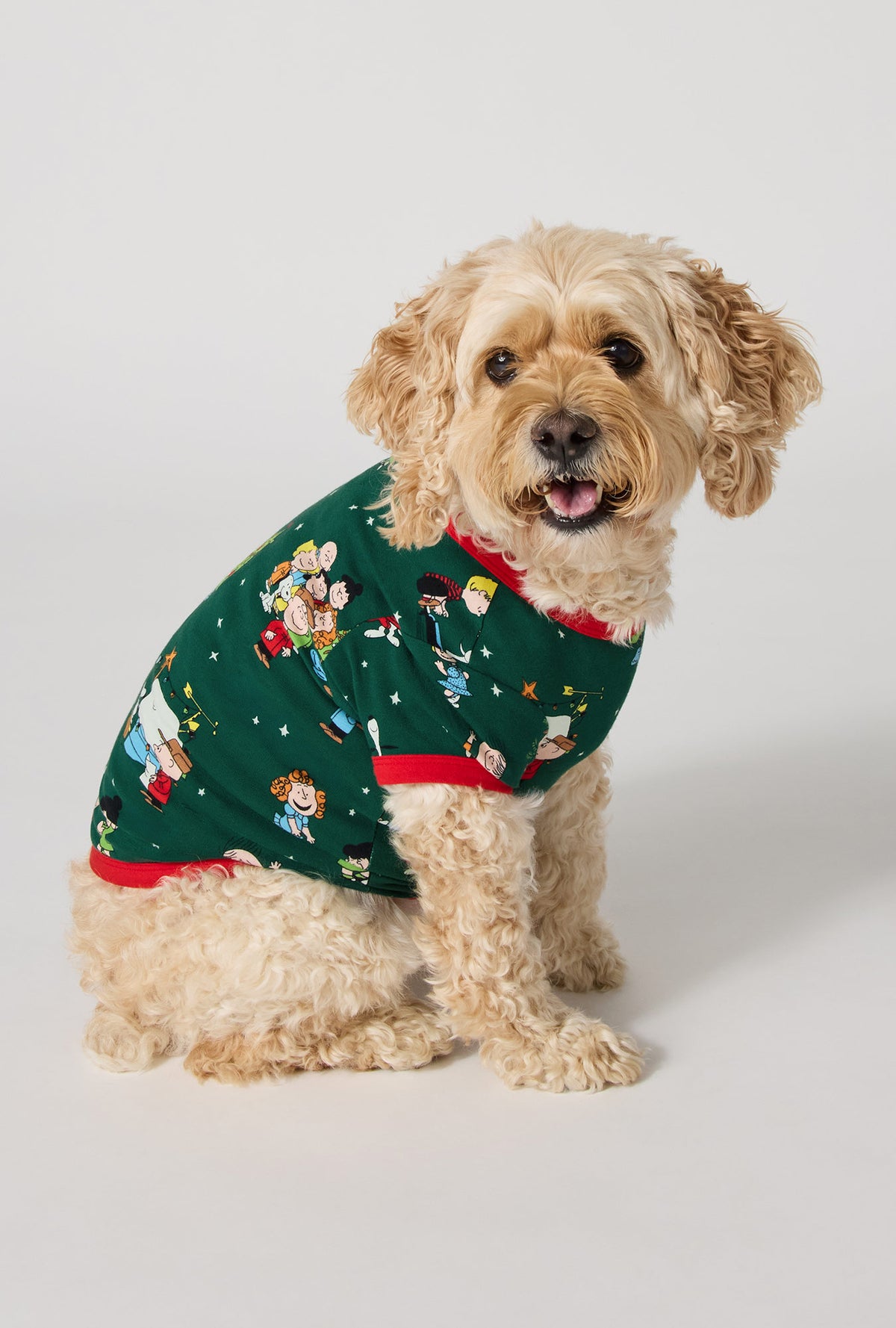 A Dog wearing Good Grief, It's Christmas! Stretch Jersey Dog Pajama