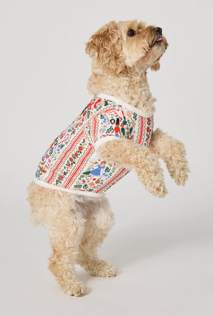 A Dog wearing Rifle Paper Co. x BedHead PJs Holly Jolly Nutcracker Stretch Jersey Dog Pajama jumping 