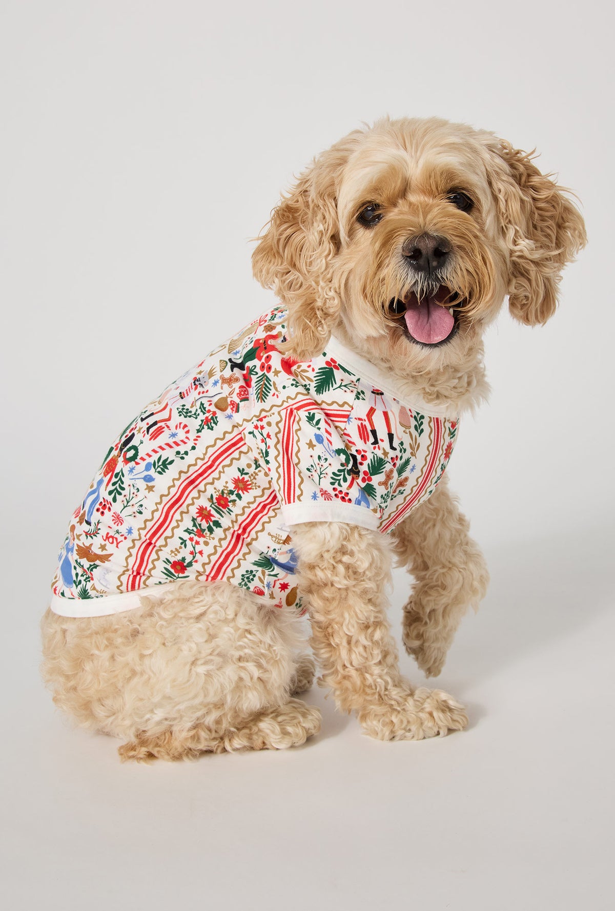 A Dog wearing Rifle Paper Co. x BedHead PJs Holly Jolly Nutcracker Stretch Jersey Dog Pajama sitting down