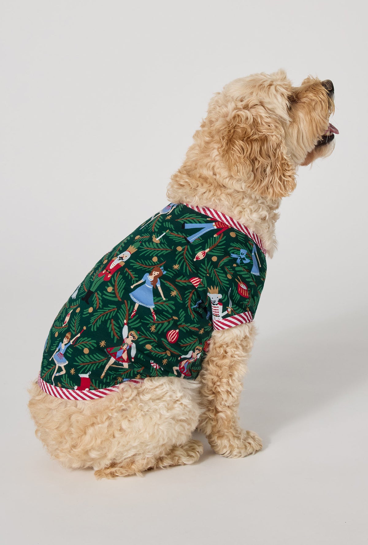 A Dog wearing Rifle Paper Co. x BedHead PJs Nutcracker Stretch Jersey Dog Pajama side view
