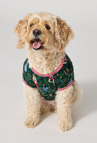 A Dog wearing Rifle Paper Co. x BedHead PJs Nutcracker Stretch Jersey Dog Pajama