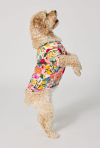 A Dog wearing Rifle Paper Co. x BedHead PJs Garden Party Stretch Jersey Dog Pajama side view