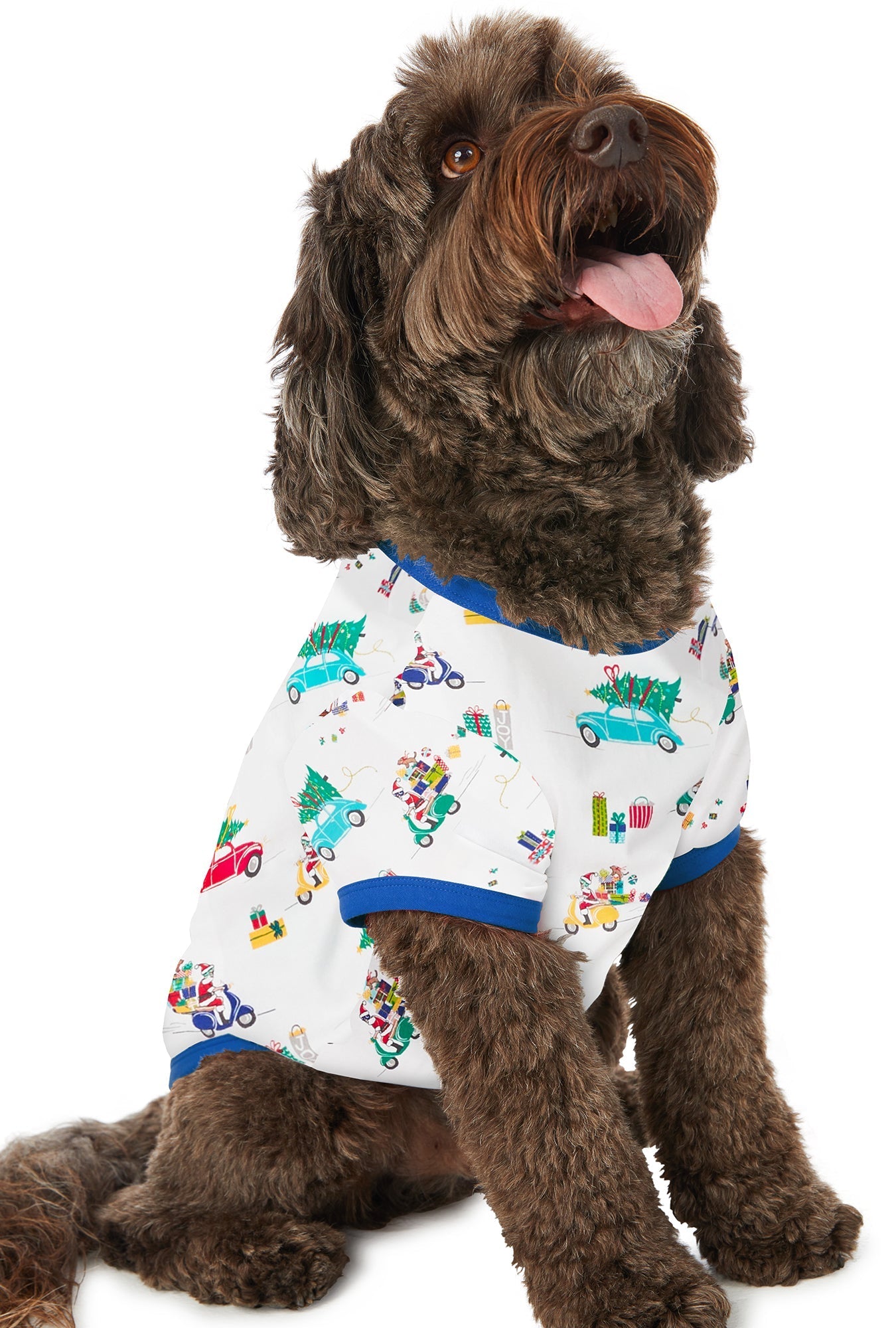 A dog wearing a white short sleeve pj set with readying for christmas views pattern.
