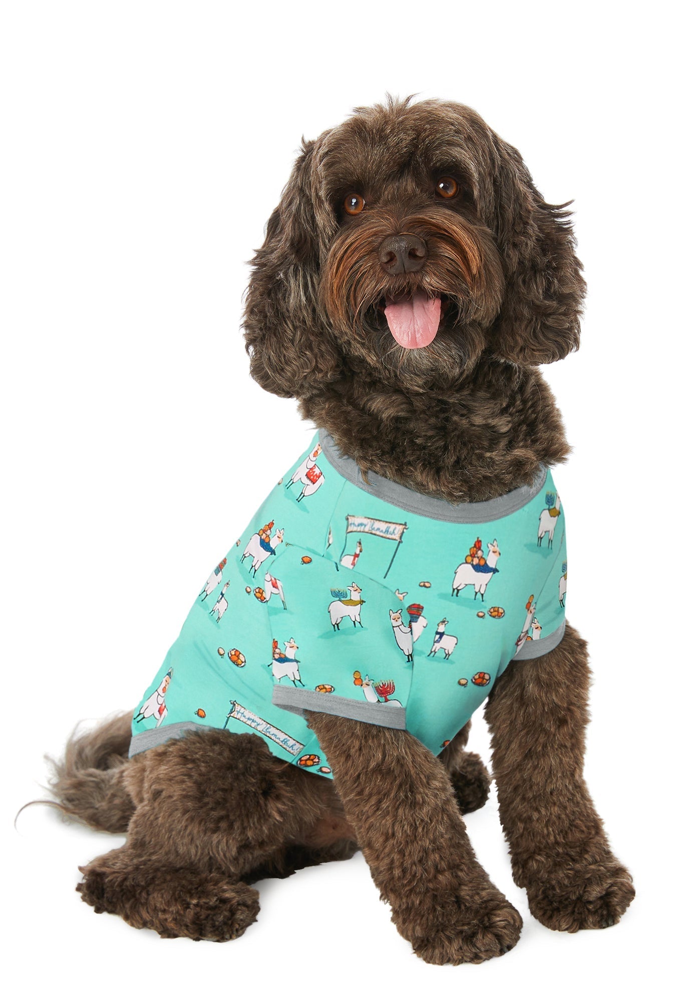 A dog wearing a blue short sleeve jersey pj set with animal pattern.